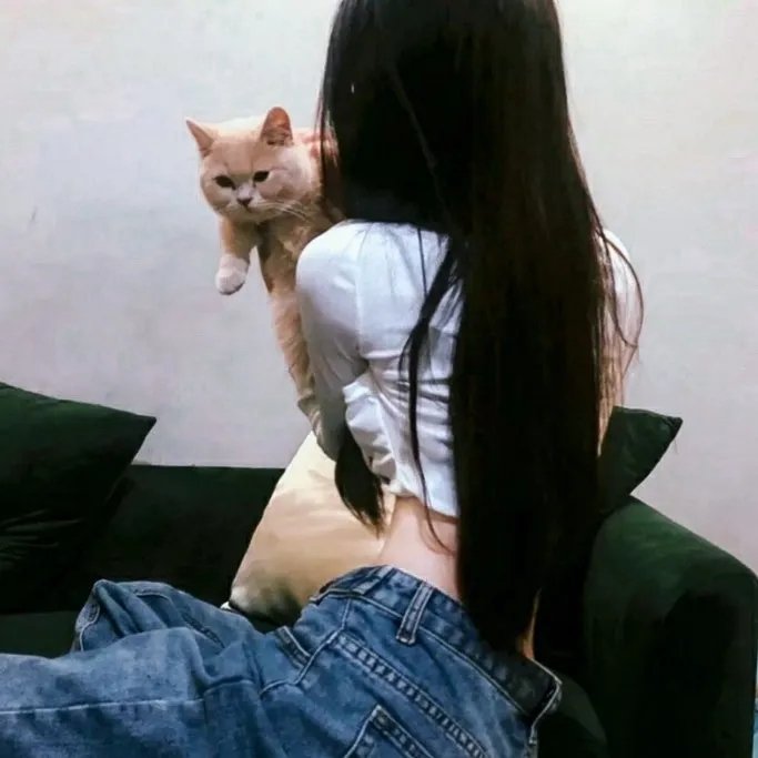 我的青春也灿烂